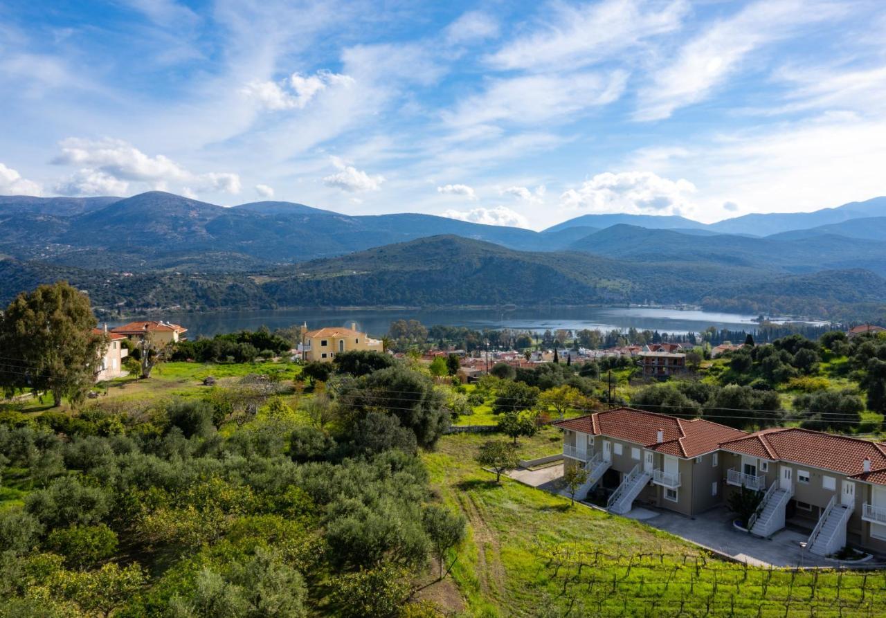 Apaggio Di Argostoli Apartments - Private Parking & Sea View מראה חיצוני תמונה